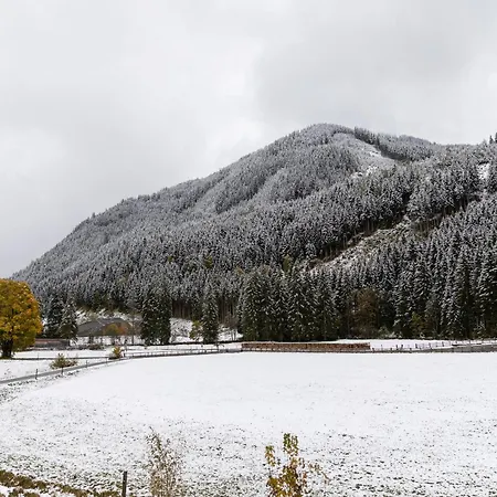 Chalet In Hinterglemm
