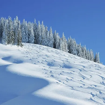 Chalet In Hinterglemm *